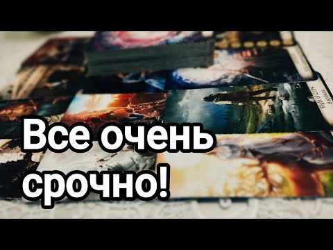 Видео: Ему очень важно срочно передать вам это ❗💌🌞💯❤️❤️Что произошло?💌🌞💯❤️❤️