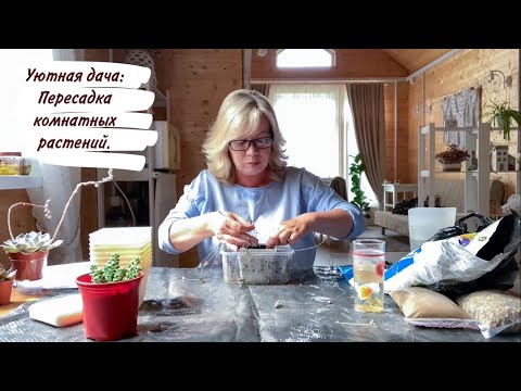 Видео: Уютная дача: Пересадка комнатных растений.
