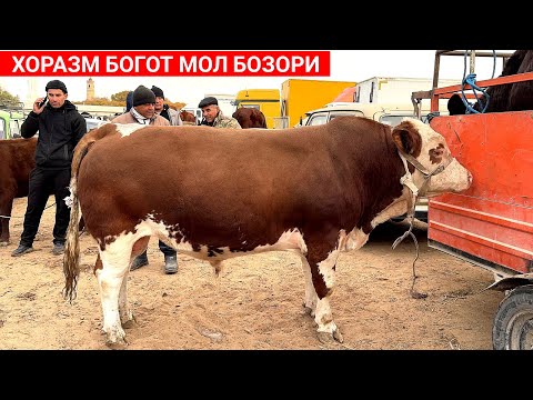 Видео: ХОРАЗМ БОГОТ МОЛ БОЗОРИ 30-ОКТЯБР ЯНГИ НАРХЛАР !!! ХОРАЗМ БОЗОР