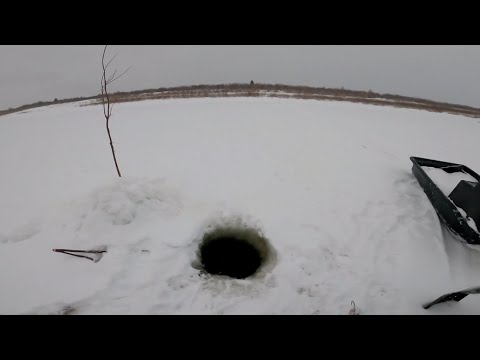 Видео: Рыбалка у чёрной дыры. Ловля налима. Серия семнадцать.