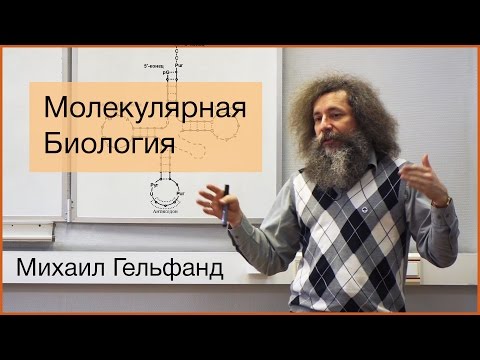 Видео: [Коллоквиум]: Все, что вы хотели знать про молекулярную биологию, но не удосужились спросить