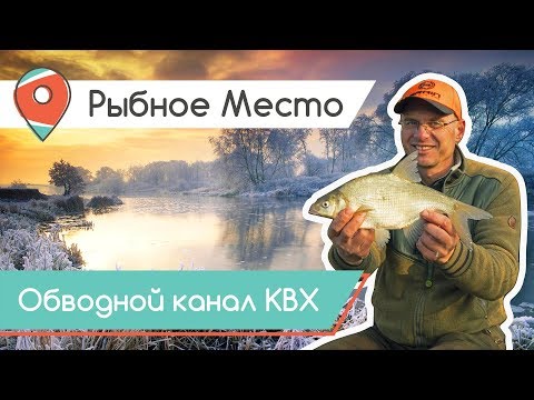 Видео: РЫБНОЕ МЕСТО. Рыбалка на обводном канале КВХ.