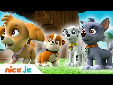 Видео: Щенячий патруль | Щенки на помощь! 20-минутная подборока | Nick Jr. Россия