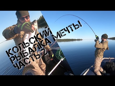 Видео: КОЛЬСКИЙ. 150 КГ ГОРБУШИ. ЧАСТЬ 2