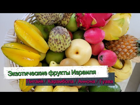 Видео: Экзотические фрукты Израиля /Питайя /Карамбола/ Аннона / Кобо / Гуава / ТОП 8 ФРУКТОВ