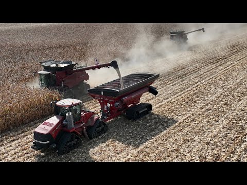 Видео: СИЛЬНАЯ засуха продолжается… Это хуже, чем я думал!