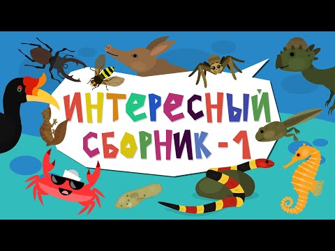 Видео: Капитан Краб: "Интересный сборник №1" Музыкальные мультики о животных.