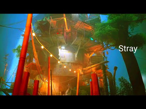 Видео: "Stray"Истина о B/12, Прохождение # 9