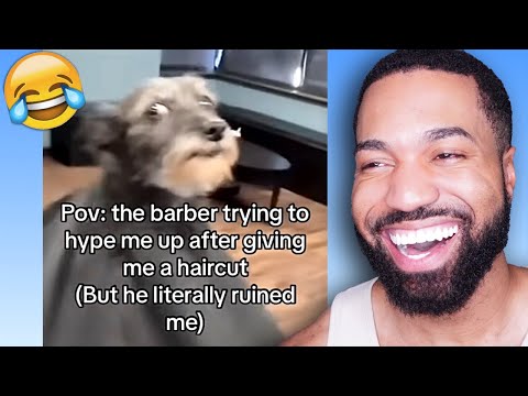 Видео: Мемы для просмотра перед сном...(постарайтесь не смеяться)