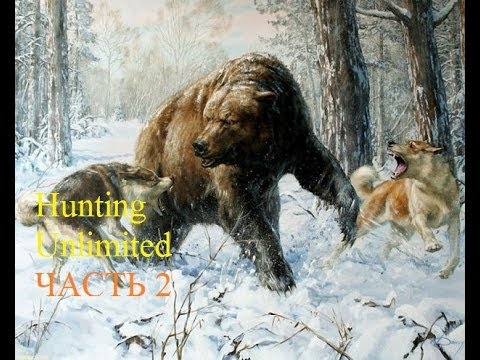 Видео: Hunting Unlimited 2011 (часть 2) Русский цикл. Увы финал.