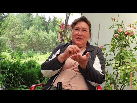 Видео: Как создать на участке природное равновесие