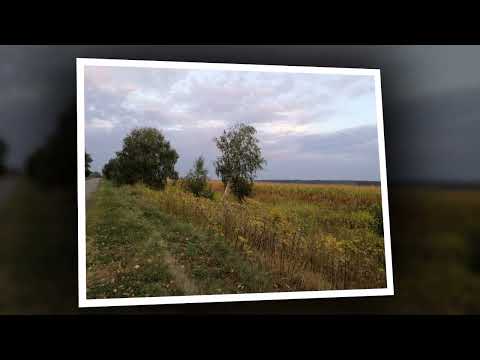 Видео: Не йди ще, літечко не йди