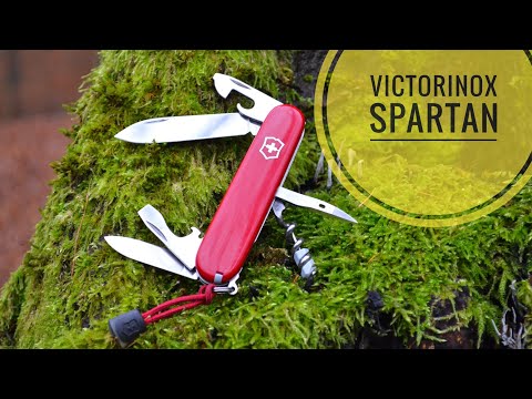 Видео: обзор Victorinox Spartan- идеальный EDC нож.