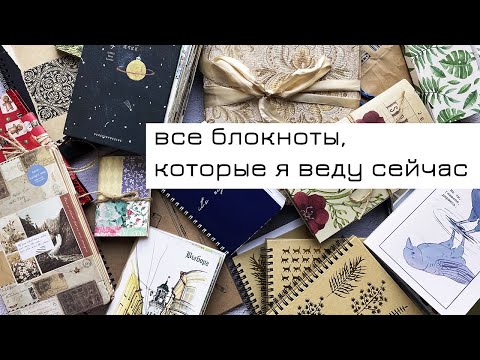 Видео: #2 Обзор блокнотов, которые я сейчас веду