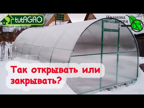 Видео: ТАК КАК? Открываем или закрываем двери в теплицу? Мнение, основанное на практике и опыте.