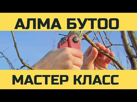 Видео: АЛМА БУТОО БОЮНЧА МАСТЕР КЛАСС КМЦ КЫРГЫЗСТАН