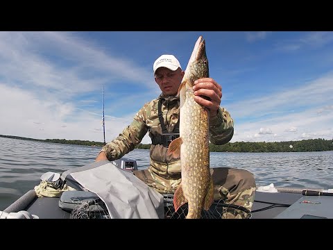 Видео: Рыбалка на Волге Калязин! Рыбы много,но местами.Тролинг Щука,Судак! Нашел точку обитание Судака!