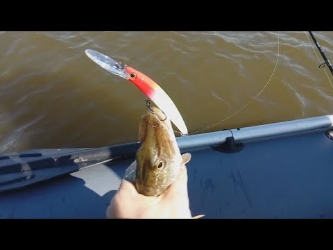 Видео: Митинка и Ахтуба сентябрь 2018  Часть 2