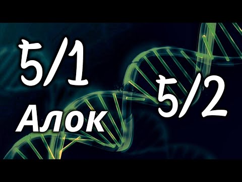 Видео: Профиль 5/1  - профиль 5/2 - Дизайн Человека - лекция Алока