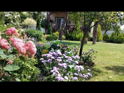 Видео: МЕЧТАЕТЕ о КРАСИВОМ ЦВЕТНИКЕ 🌷🌷🌷 ЦВЕТНИК который ПОТРЕБУЕТ МИНИМАЛЬНОГО ухода. Мой опыт. #garden