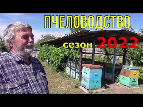 Видео: 300 семей / Про сезон 2022 / ПЧЕЛОВОДСТВО .