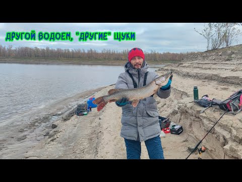 Видео: Другой водоем, "другие" щуки. Трофейный окунь #щука #окунь #рыбалка