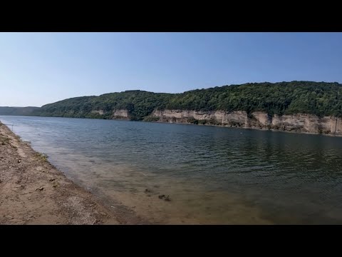 Видео: ЛОВЛЯ СОМА на Дністрі! Сом почав клювати! Дністер 2025