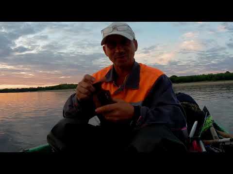 Видео: РЫБАЛКА на ПЕТРОВКЕ и снова на КОЛЬЦО.