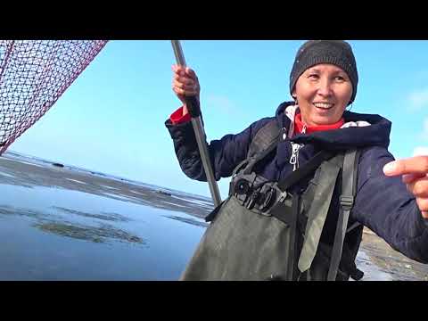 Видео: Хотели половить чилимов А ПОЙМАЛИ...