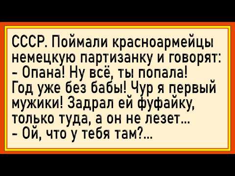 Видео: Как красноармейцы партизанку допрашивали! Сборник свежих анекдотов! Юмор!