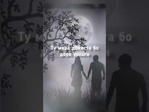 Видео: Shnaps - Мохтоби шабона 🌕