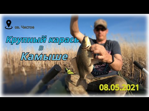 Видео: Решил исход рыбалки, снова БОКОВОЙ КИВОК в деле!!! КРУПНЫЙ КАРАСЬ на мели в камыше!!!