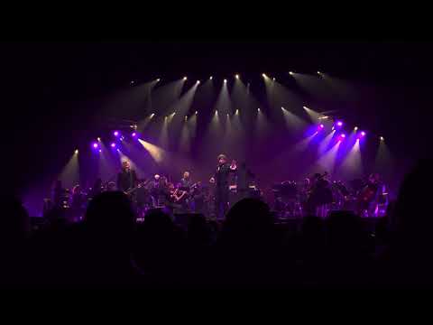 Видео: Би-2 — Депрессия (Амстердам, 2025)