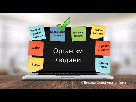 Видео: Організм людини: кровоносна система