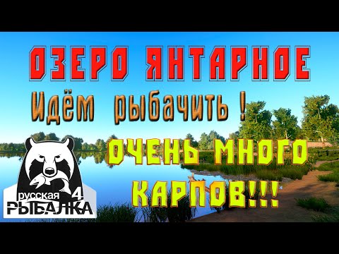 Видео: Русская Рыбалка 4. Озеро Янтарное. Идём рыбачить🐡!