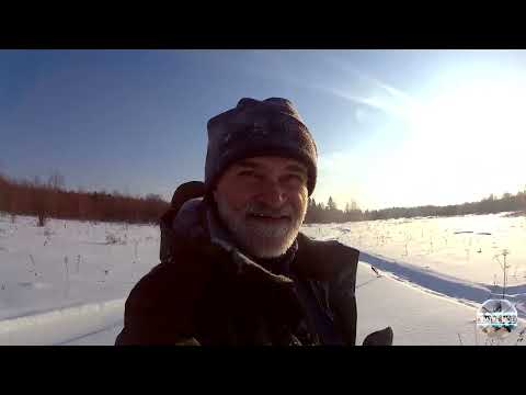 Видео: Добыл бобра! Проверка капканов на бобров. Зимняя охота на пушнину.