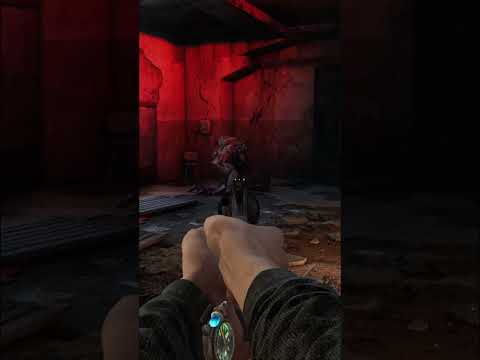 Видео: Прохождение Metro 2033 Redux  — Часть 1