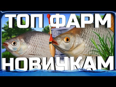 Видео: ОТЛИЧНЫЙ ФАРМ СЕРЕБРА НОВИЧКАМ на ТАРАНИ в РР4!