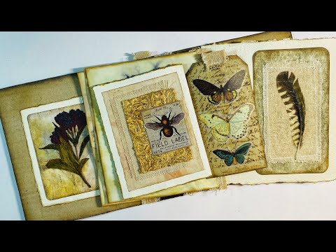 Видео: Журналы о природе — пергамент, перья, листья, бумага для осиных гнезд и многое другое