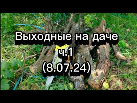 Видео: Выходные на даче. Часть 1)