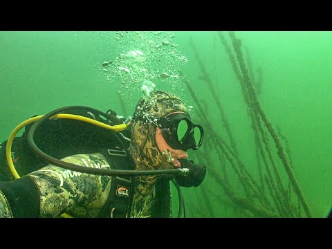 Видео: ДАЙВИНГ НА КАРЬЕРАХ. ПОДВОДНАЯ ВЕСНА. БЕЛАРУСЬ 2021. NATURE RELAX