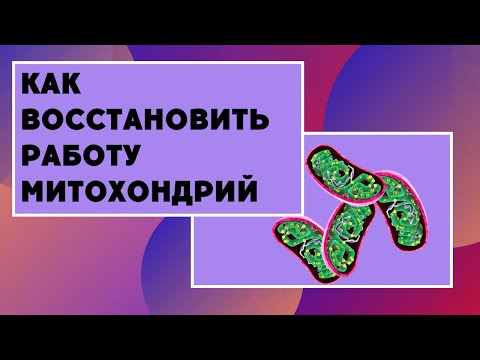Видео: Как восстановить работу митохондрий. Здоровье и функции митохондрий. Где брать энергию