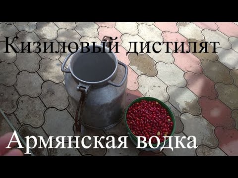 Видео: Дистиллят из кизила,рецепт браги из кизила,готовлю ароматную Армянскую водку.