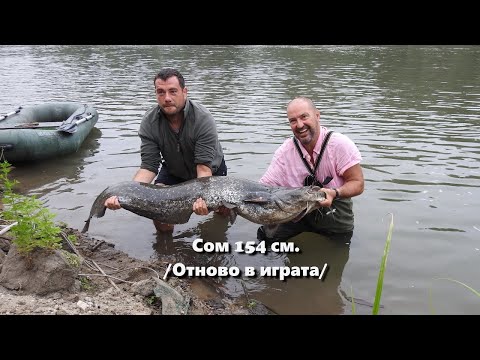 Видео: Сом 154 см. /Отново в играта/