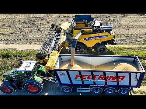 Видео: ОБМОЛОТ СОИ 2025 ГОДА 2X NEW HOLLAND CR ОТКРЫТИЕ НА ОДНОМ ПОЛЕ