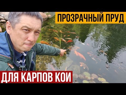 Видео: Рассказываю о строительстве прозрачного пруда для карпов кои.