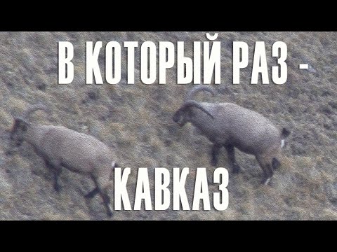 Видео: В который раз -  Кавказ!/ Once again - Caucasus!