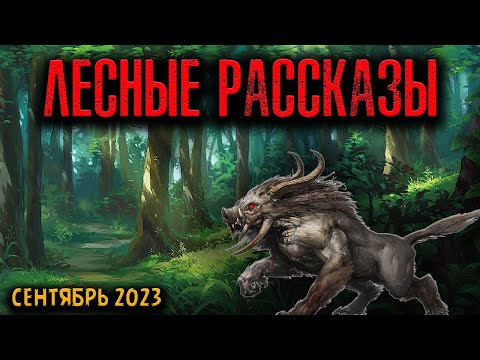 Видео: ЛЕСНЫЕ РАССКАЗЫ | Страшные истории