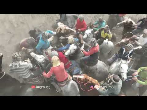 Видео: Бузкаши 8.03.2023 н.Восеъ