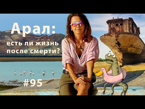 Видео: Арал: есть ли жизнь после смерти? // Всё как у зверей #95